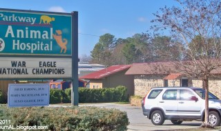 vet clinic alabama