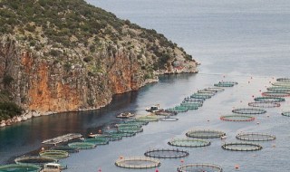 Aquaculture2