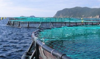 aquaculture